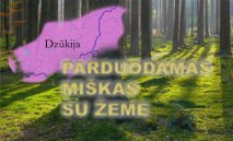 Parduodamas miškas su žeme